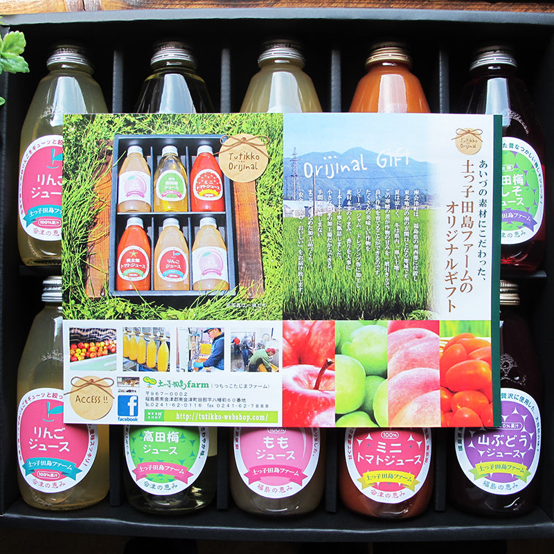 会津・福島の恵みジュースギフト200ml×10本入り おまかせセット 自社製造 土っ子田島ファーム 福島県/南会津 ギフト